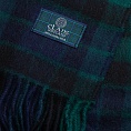 картинка Clans of Scotland Mackay от магазина  Mykilt